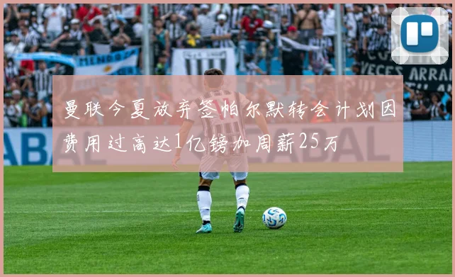 曼联今夏放弃签帕尔默转会计划因费用过高达1亿镑加周薪25万