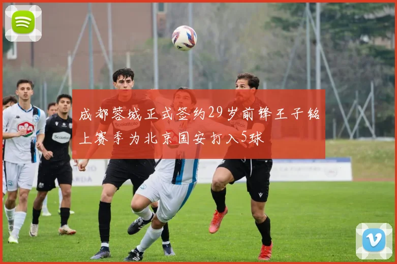 成都蓉城正式签约29岁前锋王子铭上赛季为北京国安打入5球
