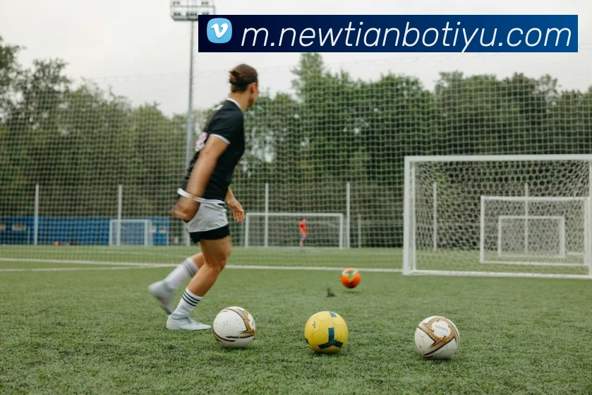 天博体育平台生态图