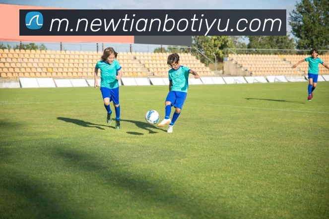 天博体育APP 封面图